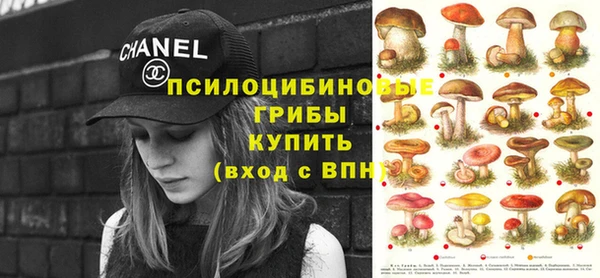 гидропоника Козельск