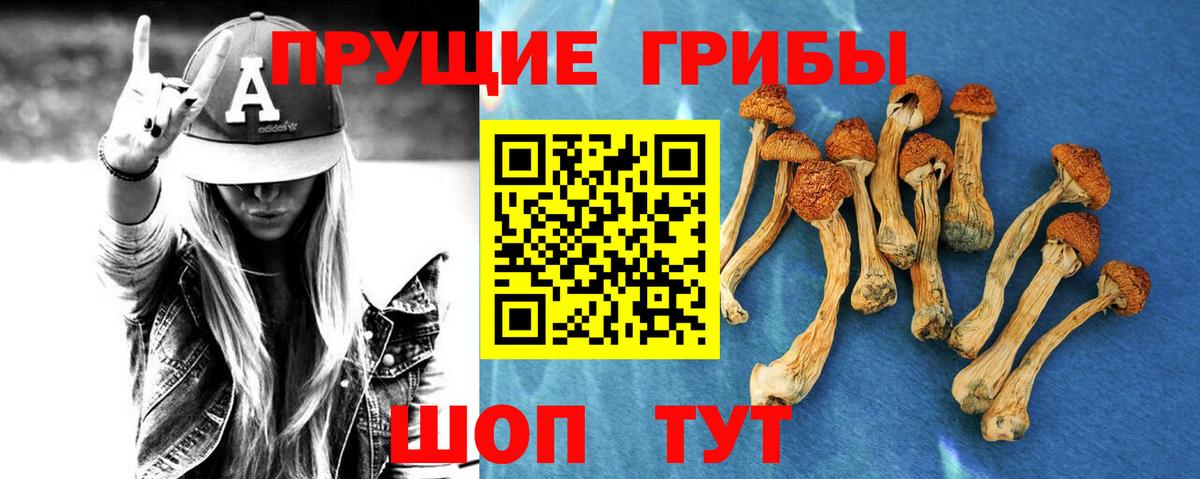 Псилоцибиновые грибы ЛСД  Вход с VPN  Краснокамск 