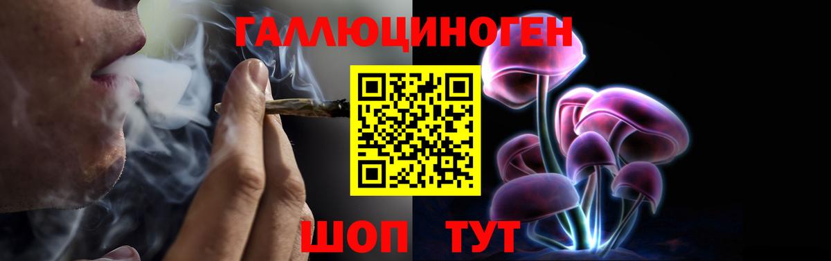 Псилоцибиновые грибы Psilocybe Краснокамск